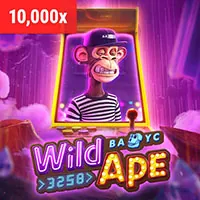 Uy tín và An toàn tại new88 casino